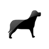 Captcha image 2416