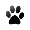 Captcha image 1515